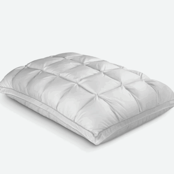 Screenshot 2025-07-03 at 2.35.01 PM